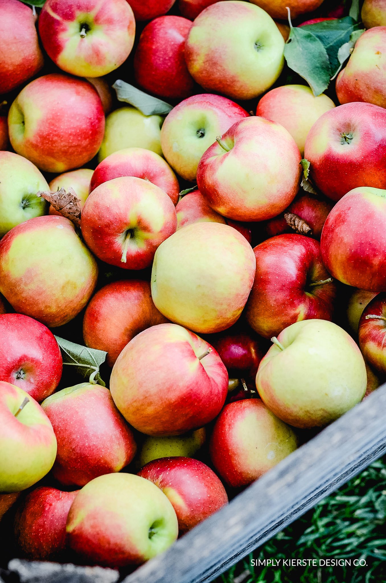 How to Make the Perfect Caramel Apples | Tips & Tricks | oldsaltfarm.com