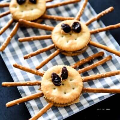 Spooky Cracker Spiders