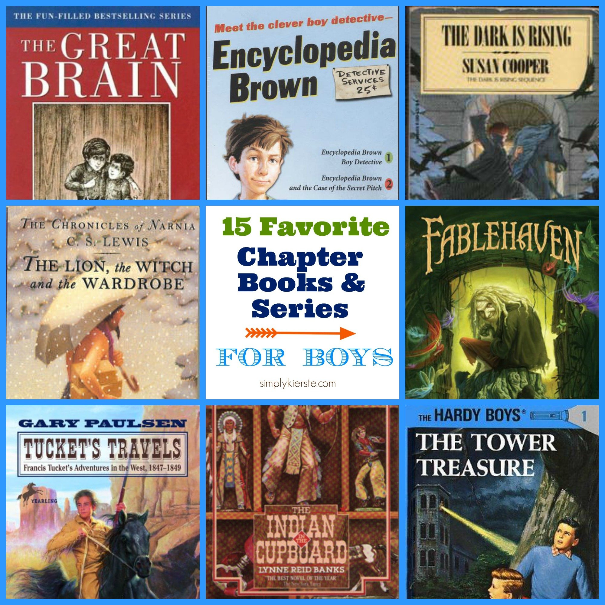 15 Favorite Chapter Books & Series For Boys {ages 8-12}
