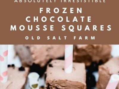 Frozen Chocolate Mousse Squares