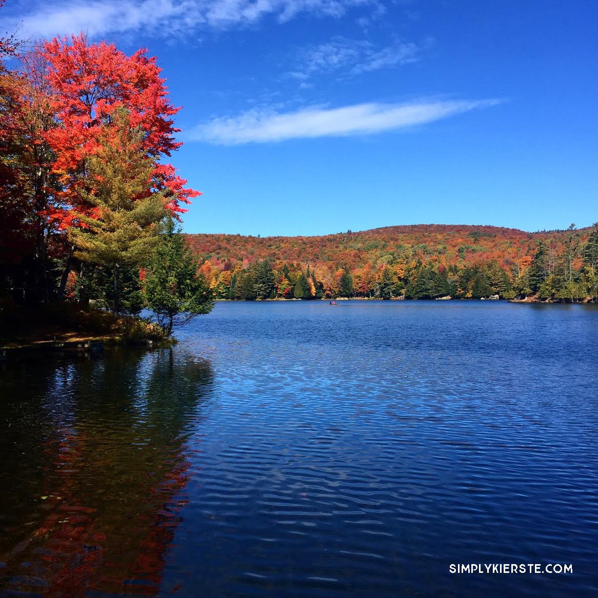 Fall Leaves | Adirondack Mountains