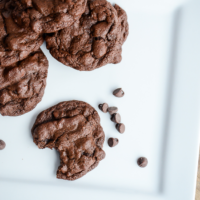 The BEST Double Chocolate Chip Cookies | oldsaltfarm.com