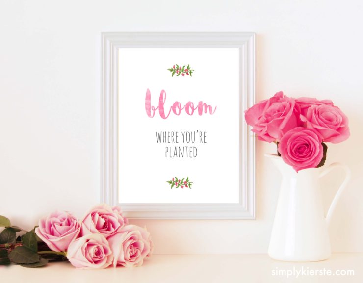 Bloom Where You're Planted Print | 11x14, 8x10, 5x7 sizes | oldsaltfarm.com