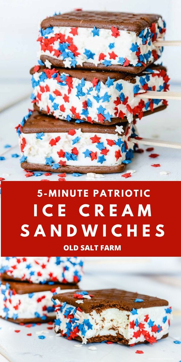 4th of July Ice Cream Sandwiches