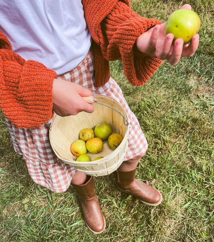 Apple Picking