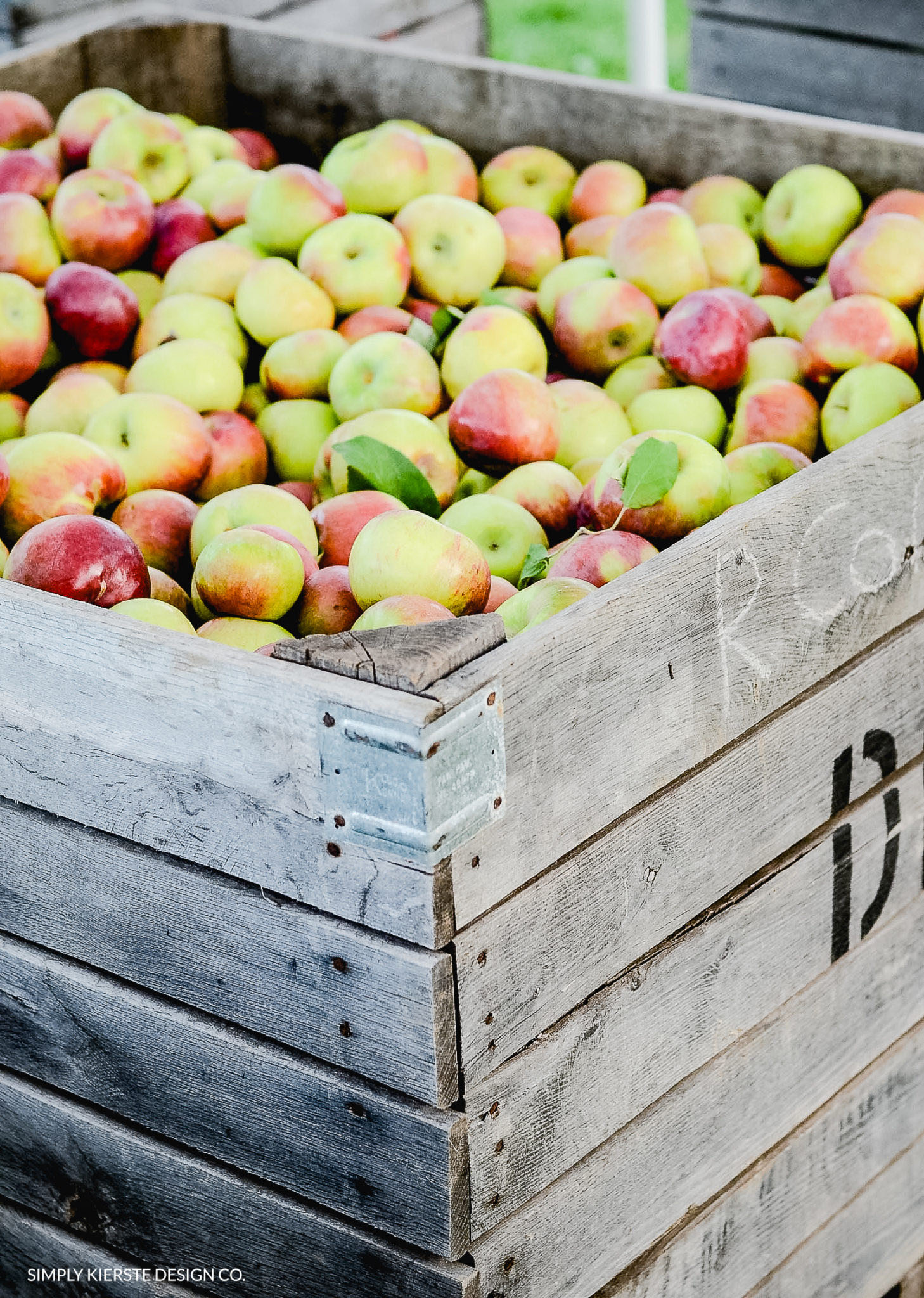 Apple Picking | Apple Farm | Fall Family Tradition | oldsaltfarm.com