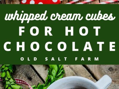 Whipped Cream Cubes for Hot Chocolate