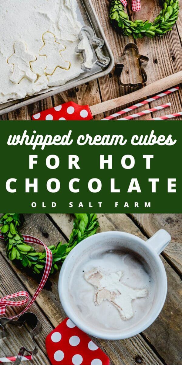 Whipped Cream Cubes for Hot Chocolate