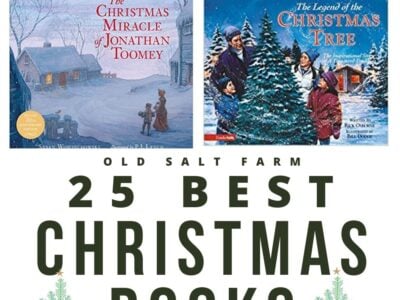 25 Favorite Christmas Books for Kids