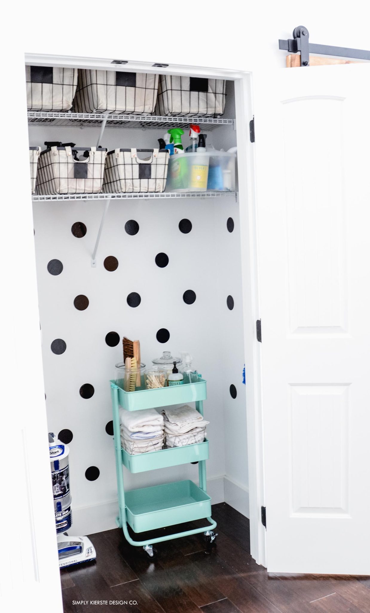 Cleaning Closet Organization and Tips  Cleaning closet organization, Diy closet  storage, Cleaning supplies organization