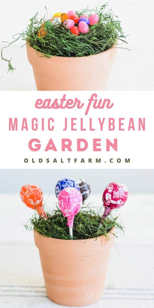 Magic Lollipop & Jellybean Garden