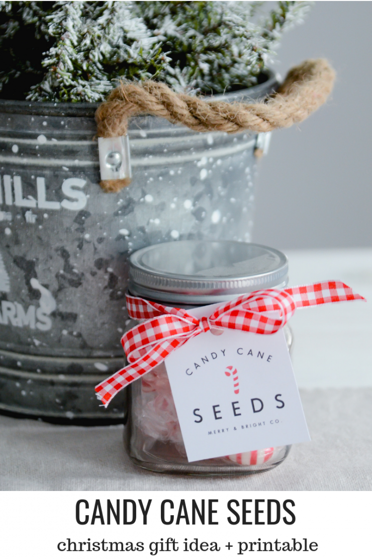 Candy Cane Seeds | Christmas Gift Idea & Printable