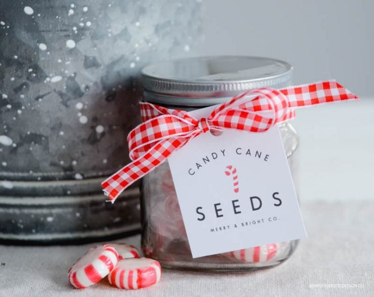 Candy Cane Seeds | Christmas Gift Idea & Printable