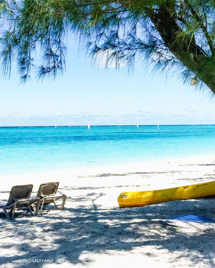 Best Family Vacation | Beaches Resorts | Turks & Caicos 