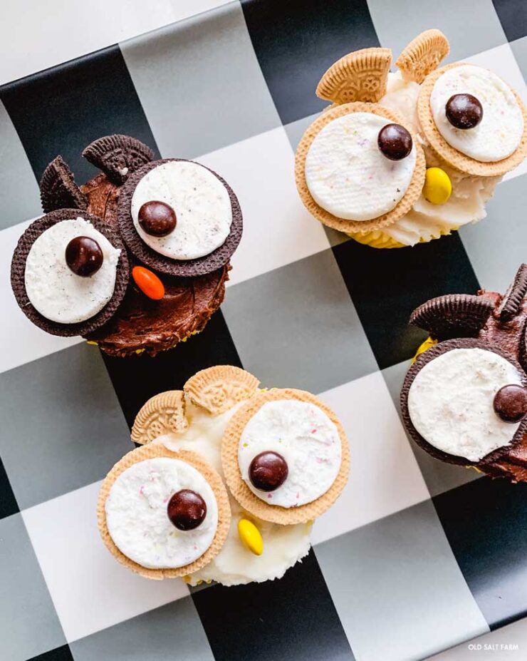 Owl Cupcakes | Fall or Halloween Treats
