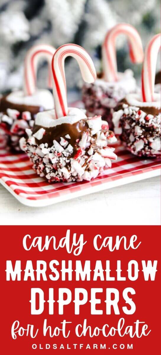 Candy Cane Marshmallow Dippers