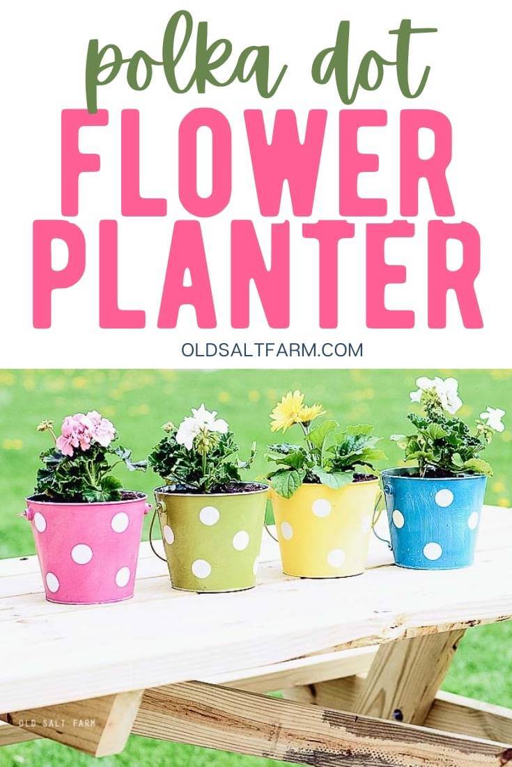 Polka Dot Pail Flower Planters