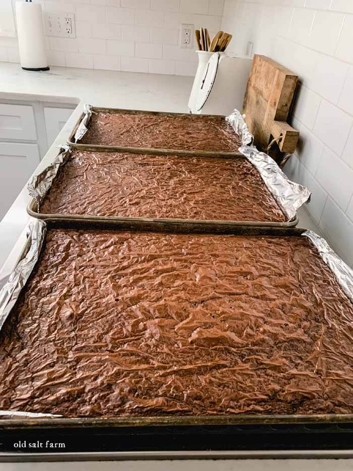 Chocolate Dipped Heart Brownies