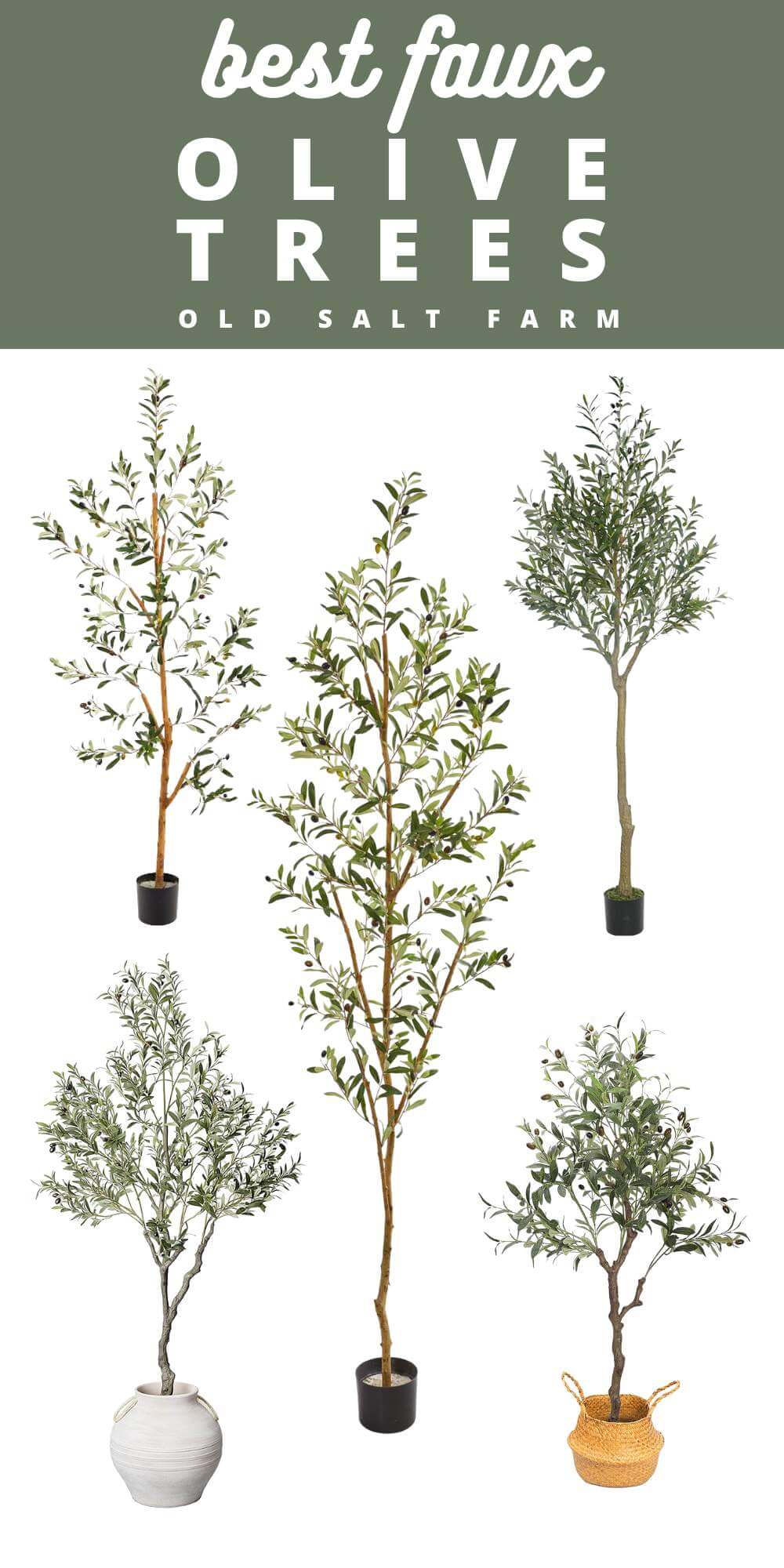 Best Faux Olive Trees Old Salt Farm