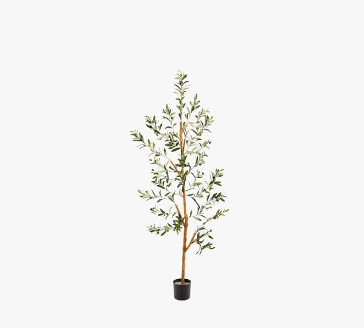 Pottery Barn Faux Olive Tree