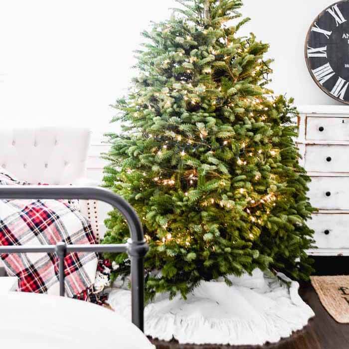 Cut Down Your Own Christmas Tree: Tips & Where to Find Them