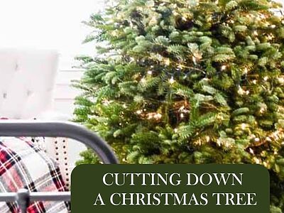 Cutting down a christmas tree tips