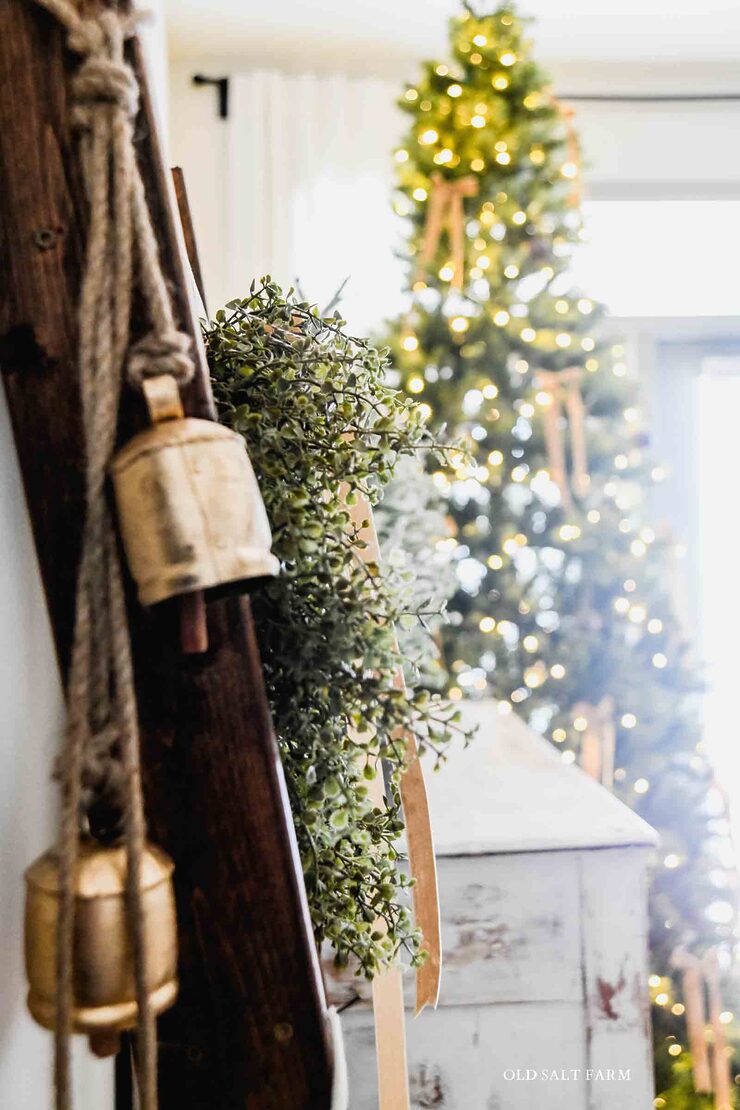 King of Christmas Tree