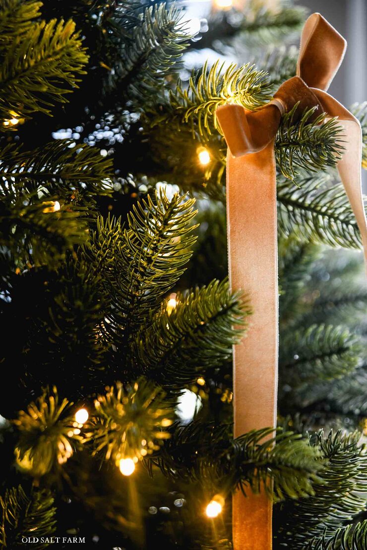 King of Christmas Tree