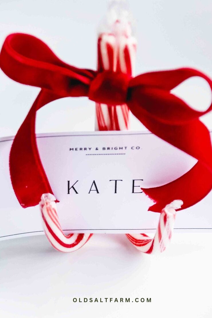Candy Cane Place Card Holders