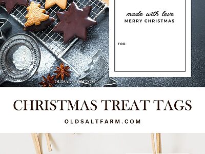 Free Printable Christmas Treat Tags