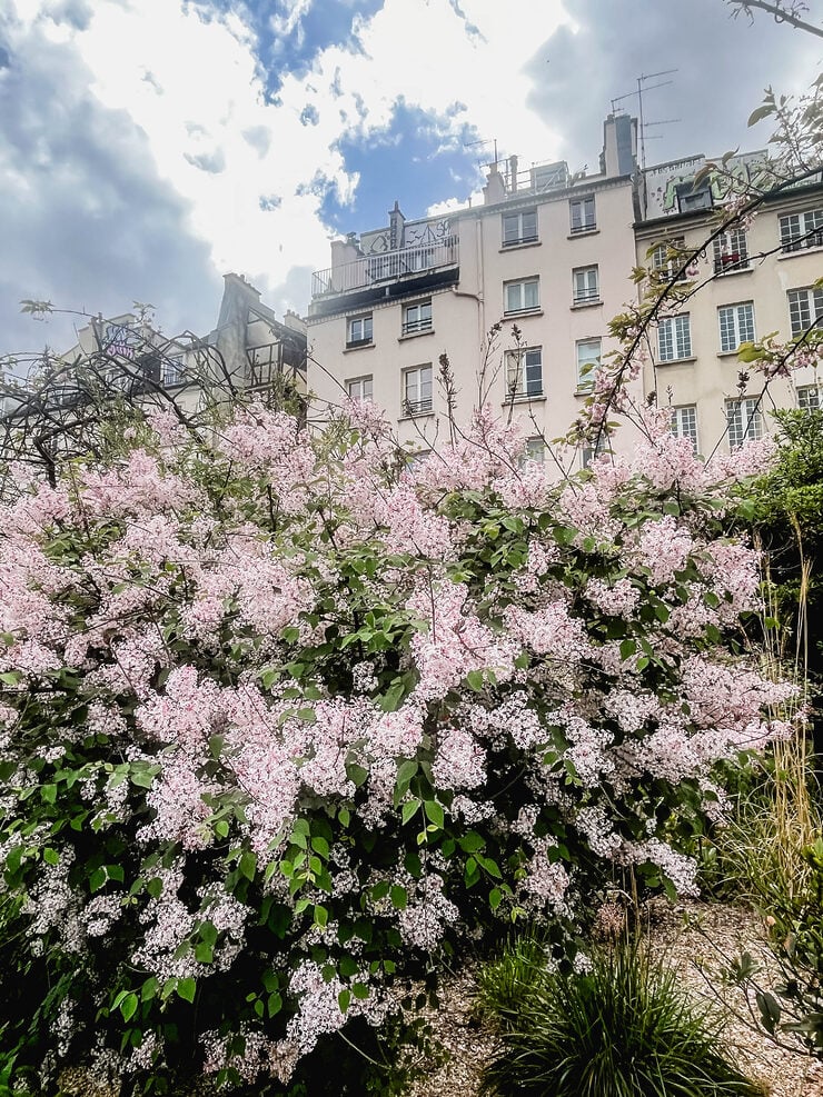 Paris in Spring