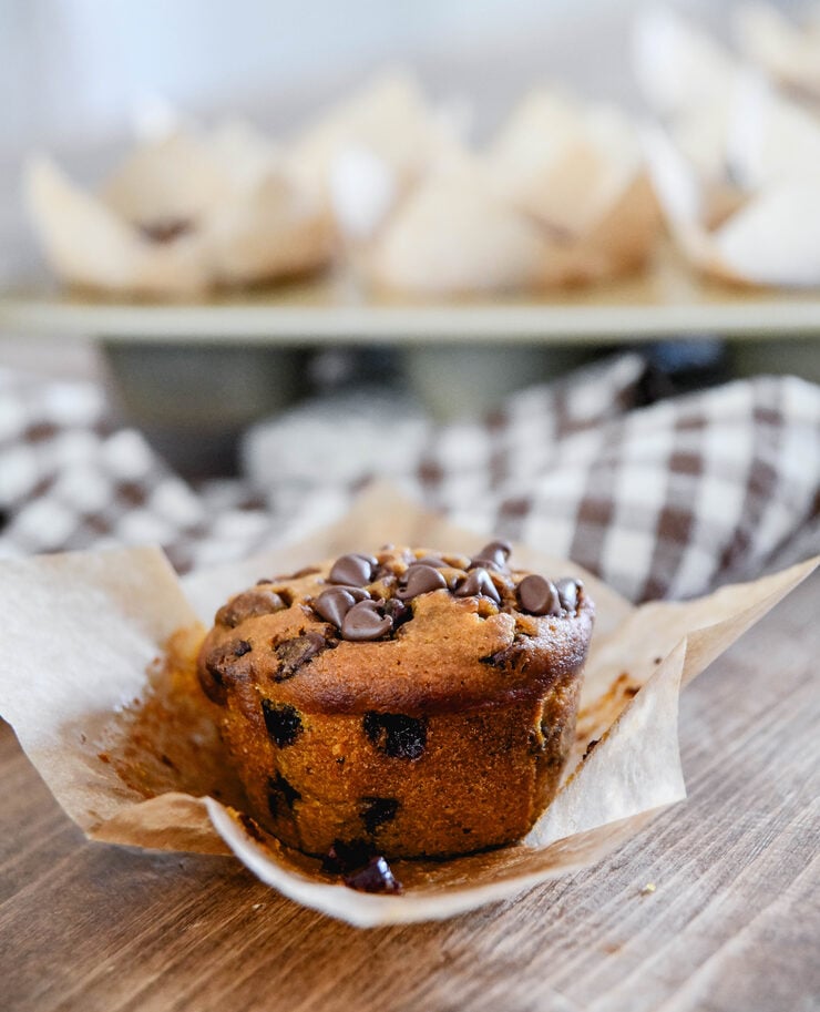 Pumpkin Chocolate Chip Muffins