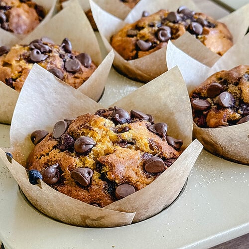 Pumpkin Chocolate Chip Muffins Recipe